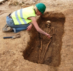 Skeletal excavation